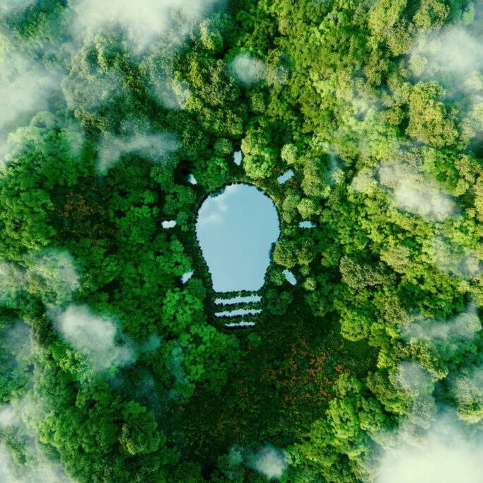 A bulb-shaped lake in the middle of a lush forest, symbolizing fresh ideas, inventiveness and creativity in relation to solving environmental problems. 3d rendering.